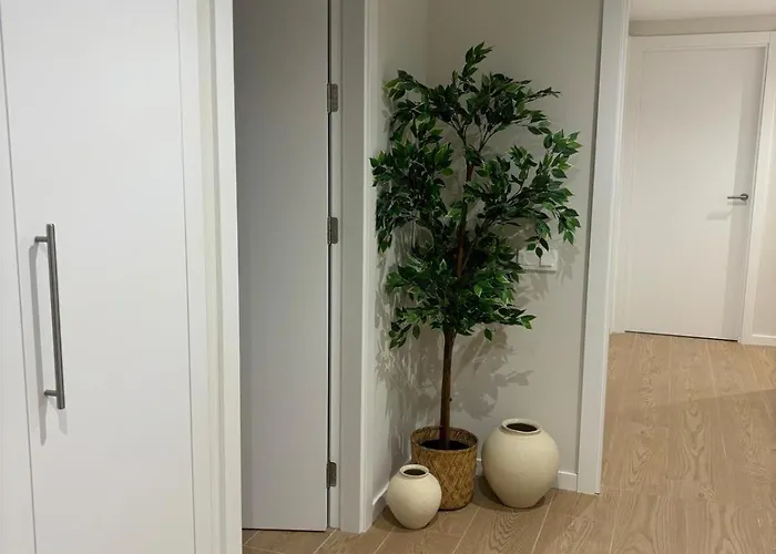 Galiciaguesthome -pardo Bazan-silgar